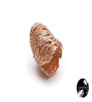 Joana Ribeiro Joalharia Collection  2014