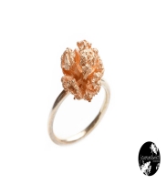 Joana Ribeiro Joalharia Collection  2014