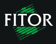 Fitor 