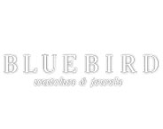 Bluebird 